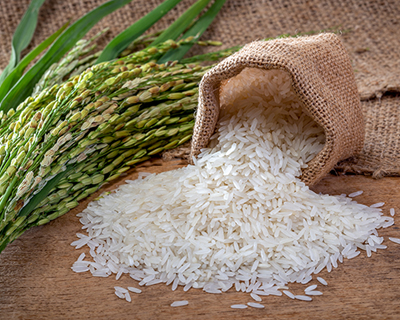 Rice
